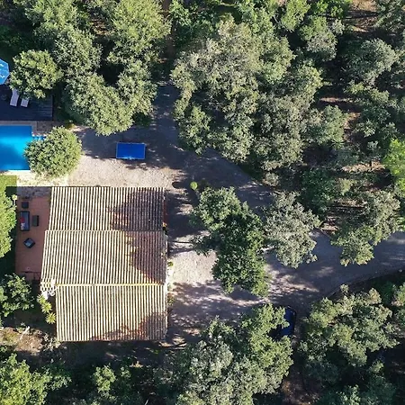 Vakantiehuis Quiet And Wooded Area Of The Mallorcan Countryside By Renthousing Pollença