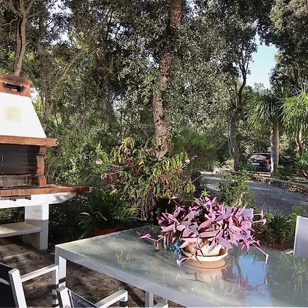 Quiet And Wooded Area Of The Mallorcan Countryside By Renthousing *