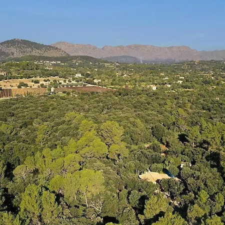 Tatil Evi Quiet And Wooded Area Of The Mallorcan Countryside By Renthousing Pollença