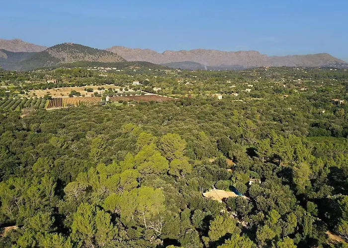Holiday home Quiet And Wooded Area Of The Mallorcan Countryside By Renthousing Pollenca